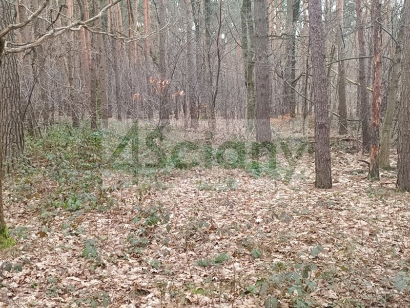 Działka budowlana 2103 m², Sękocin-Las - ID: 15310184