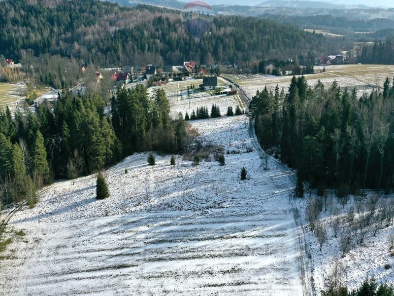 Zdjęcie ogłoszenia -  