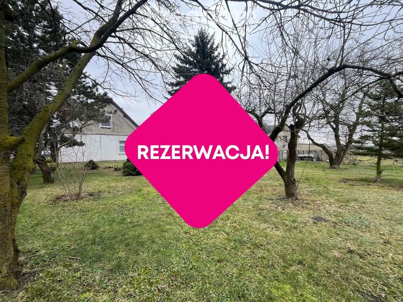 Zdjęcie ogłoszenia -  