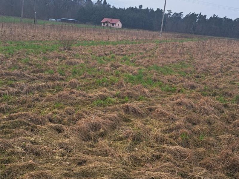 Zdjęcie ogłoszenia -  