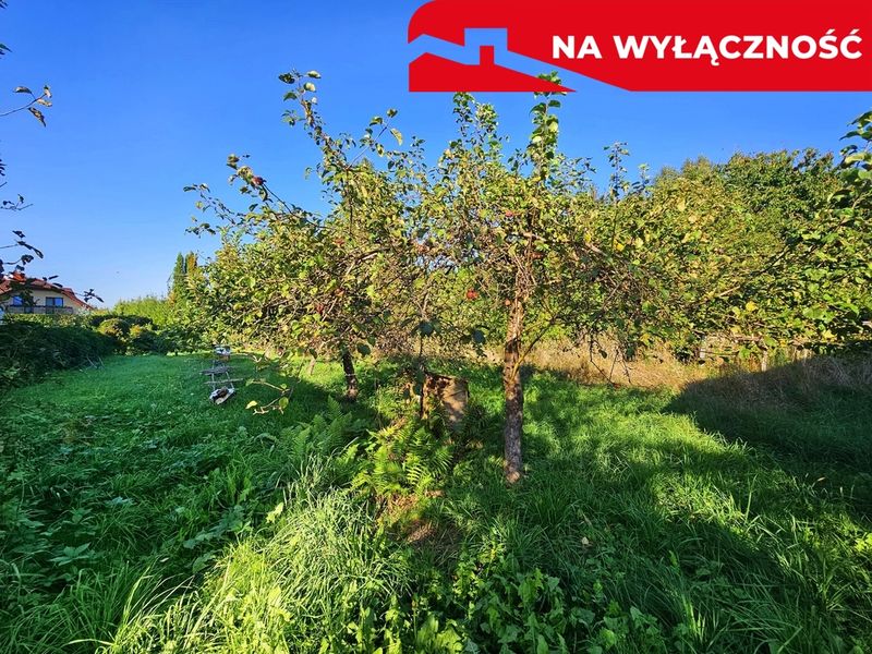 Zdjęcie ogłoszenia -  