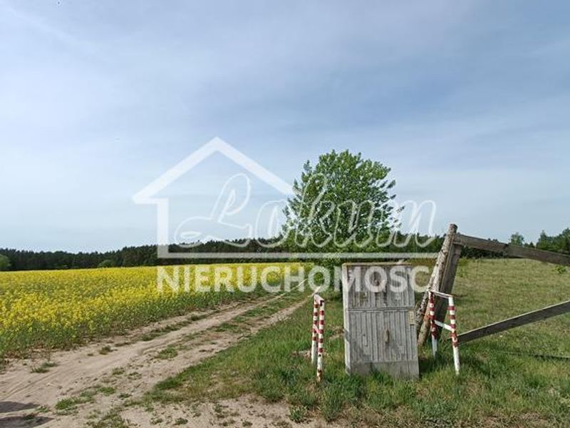 Zdjęcie ogłoszenia -  