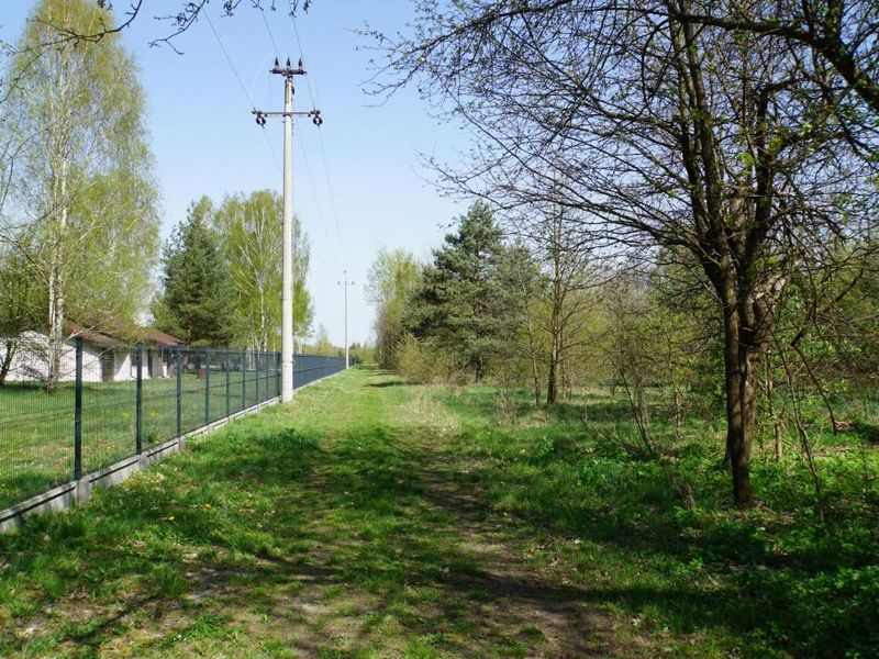 Zdjęcie ogłoszenia -  