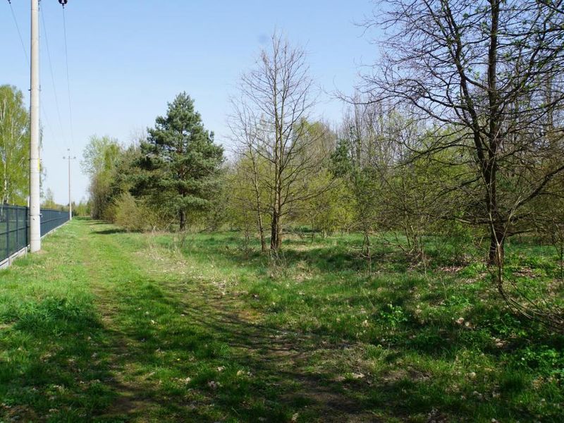 Zdjęcie ogłoszenia -  