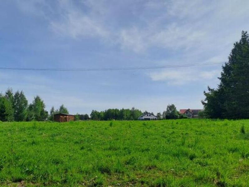 Zdjęcie ogłoszenia -  