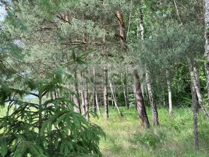 Działka budowlana 1520 m², Stara Wieś - ID: 15401977