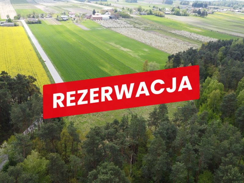 Zdjęcie ogłoszenia -  