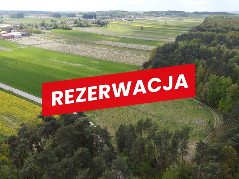 Zdjęcie ogłoszenia -  