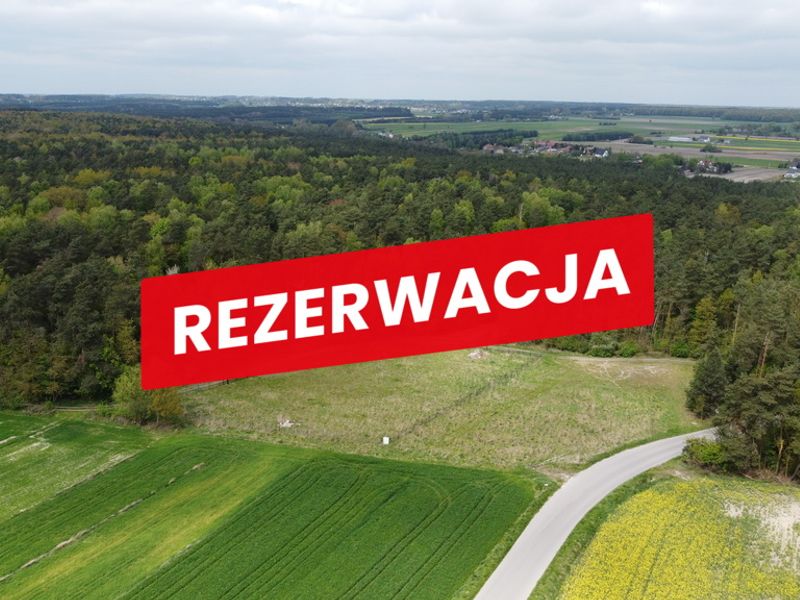 Zdjęcie ogłoszenia -  