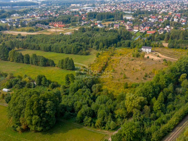 Zdjęcie ogłoszenia -  