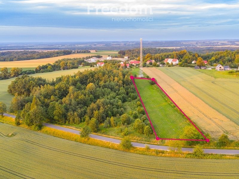 Zdjęcie ogłoszenia -  