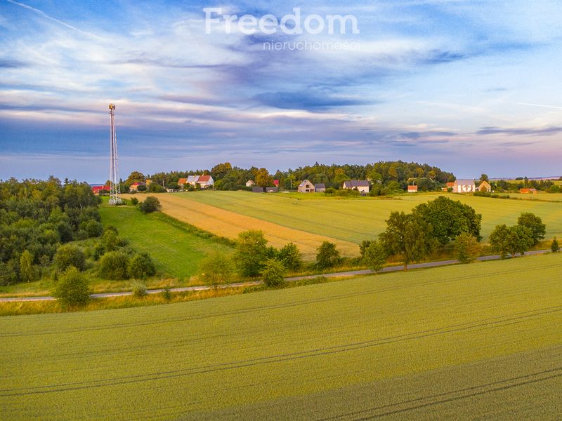 Zdjęcie ogłoszenia -  