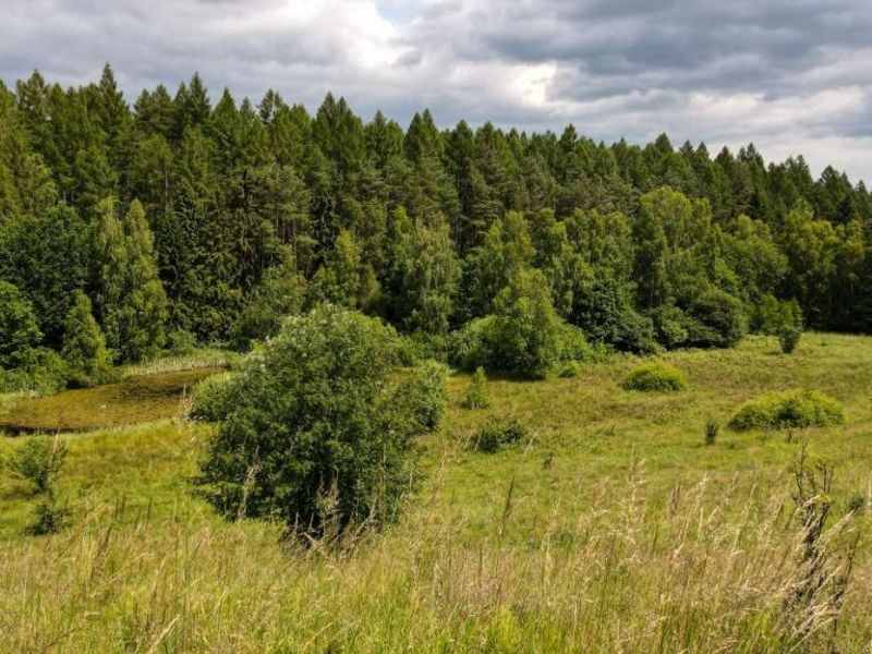 Zdjęcie ogłoszenia -  