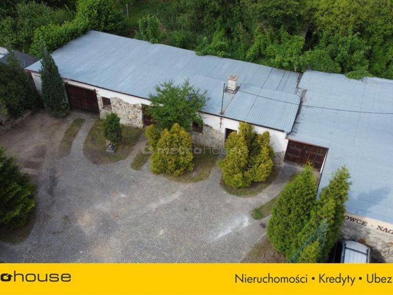 Zdjęcie ogłoszenia -  