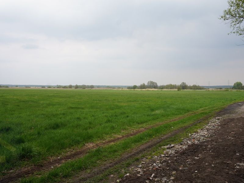 Zdjęcie ogłoszenia -  