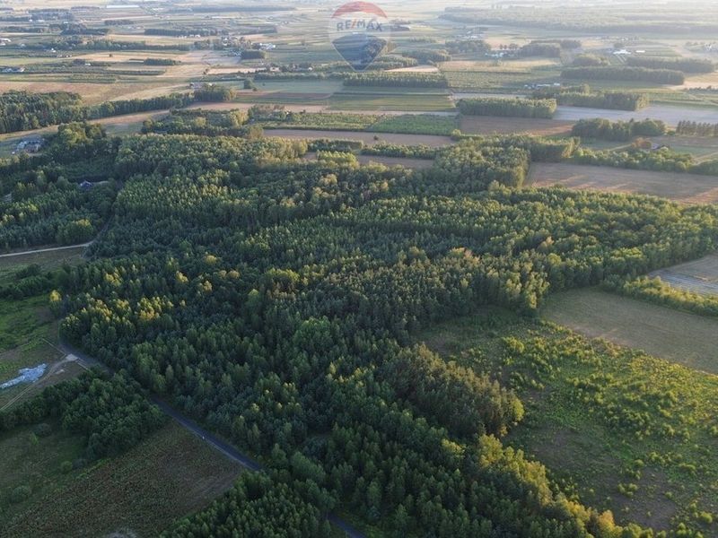 Zdjęcie ogłoszenia -  