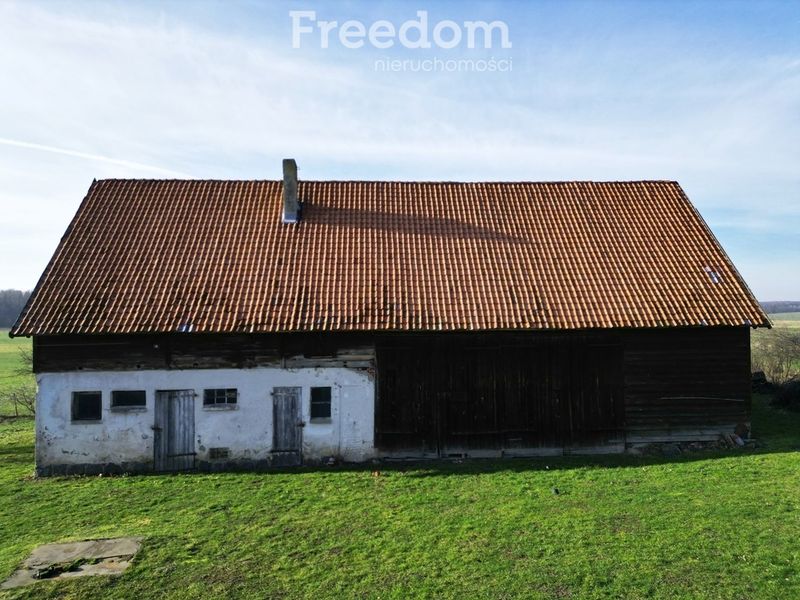 Zdjęcie ogłoszenia -  