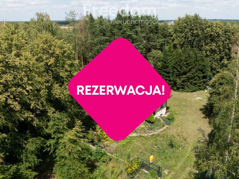 Zdjęcie ogłoszenia -  