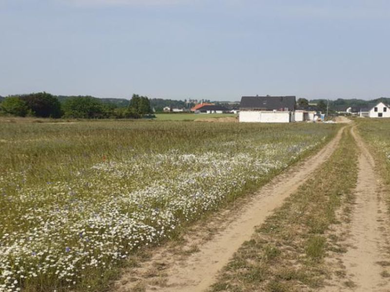 Zdjęcie ogłoszenia -  