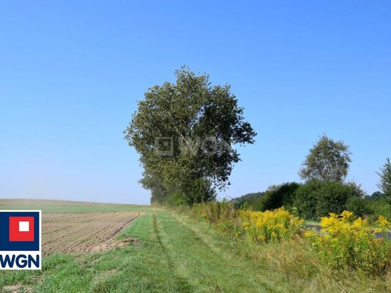 Zdjęcie ogłoszenia -  