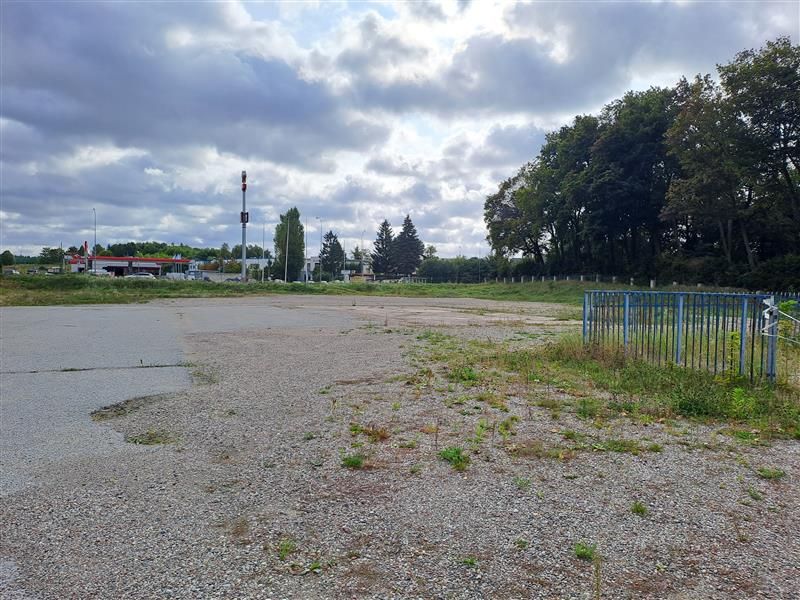 Zdjęcie ogłoszenia -  