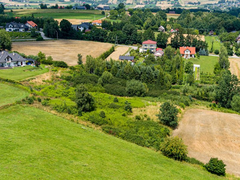 Zdjęcie ogłoszenia -  