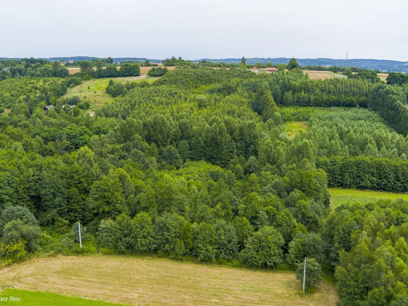 Zdjęcie ogłoszenia -  