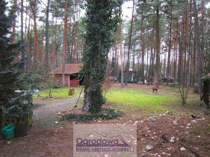 Zdjęcie ogłoszenia -  