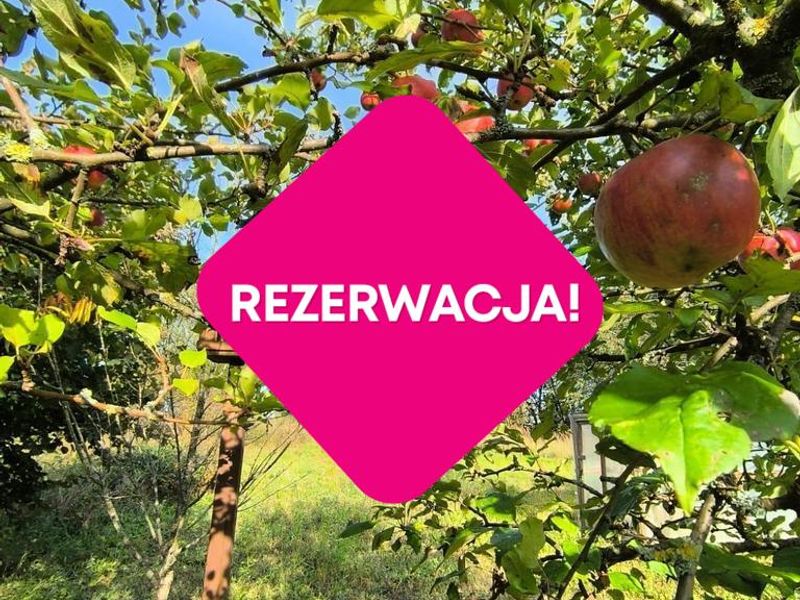 Zdjęcie ogłoszenia -  