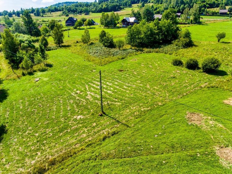 Zdjęcie ogłoszenia -  