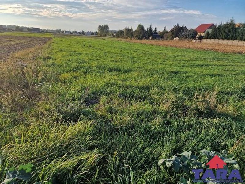 Zdjęcie ogłoszenia -  