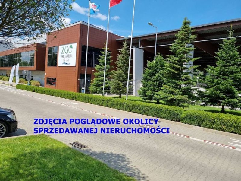 Zdjęcie ogłoszenia -  