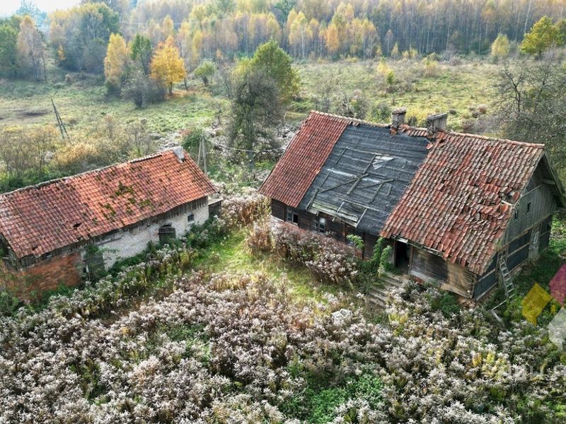 Zdjęcie ogłoszenia -  