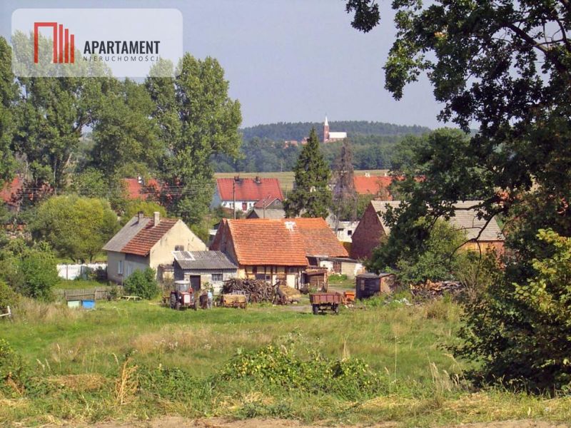 Zdjęcie ogłoszenia -  