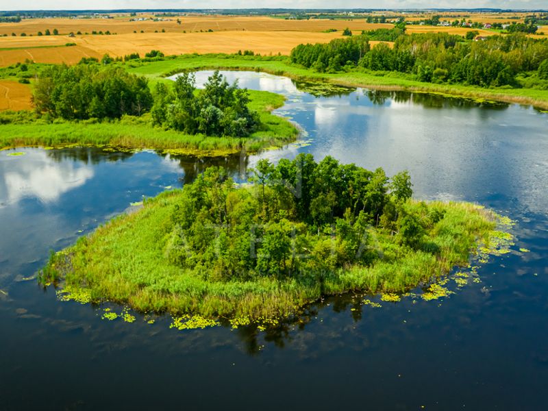 Zdjęcie ogłoszenia -  