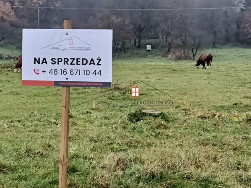 Zdjęcie ogłoszenia -  