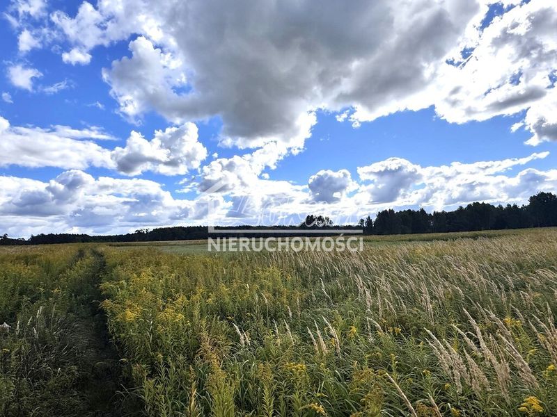 Działka rolna 3012&nbsp;m², Żółwia Błoć - ID: 15561901