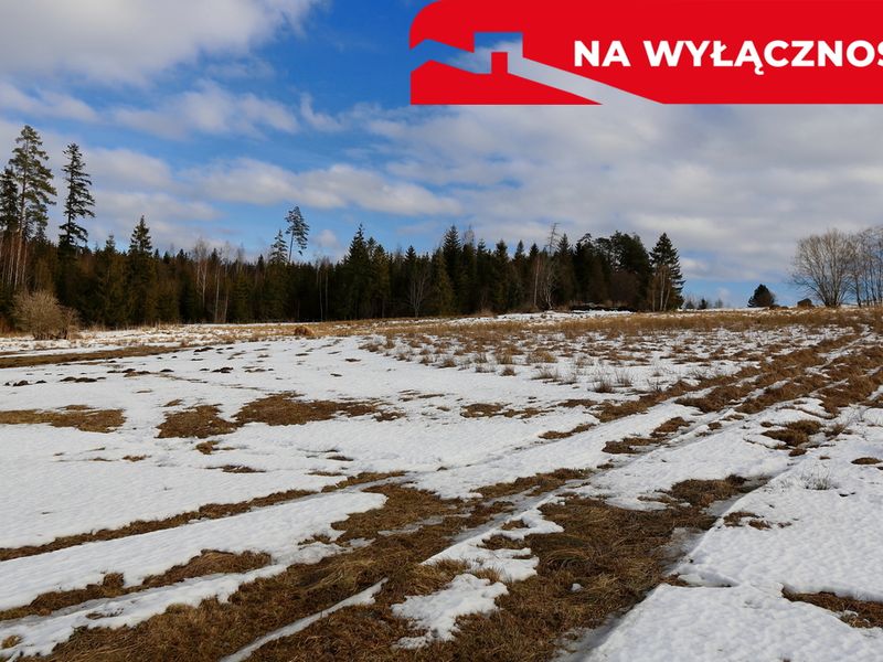 Zdjęcie ogłoszenia -  