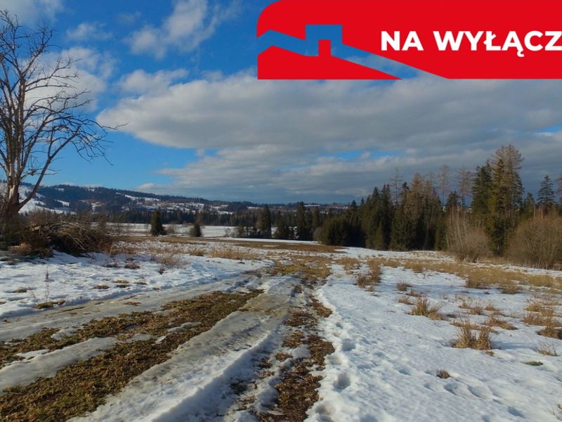 Zdjęcie ogłoszenia -  