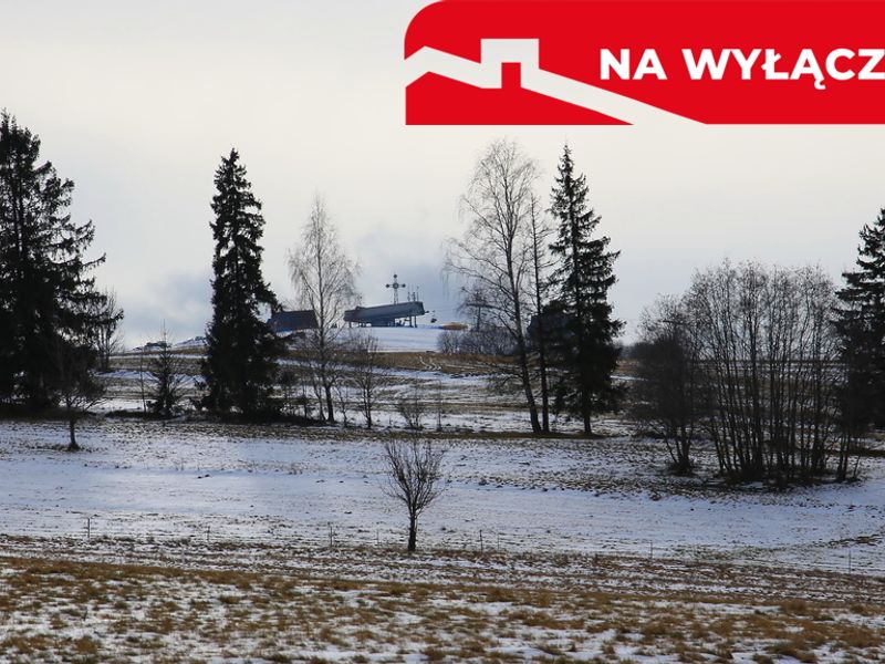 Zdjęcie ogłoszenia -  