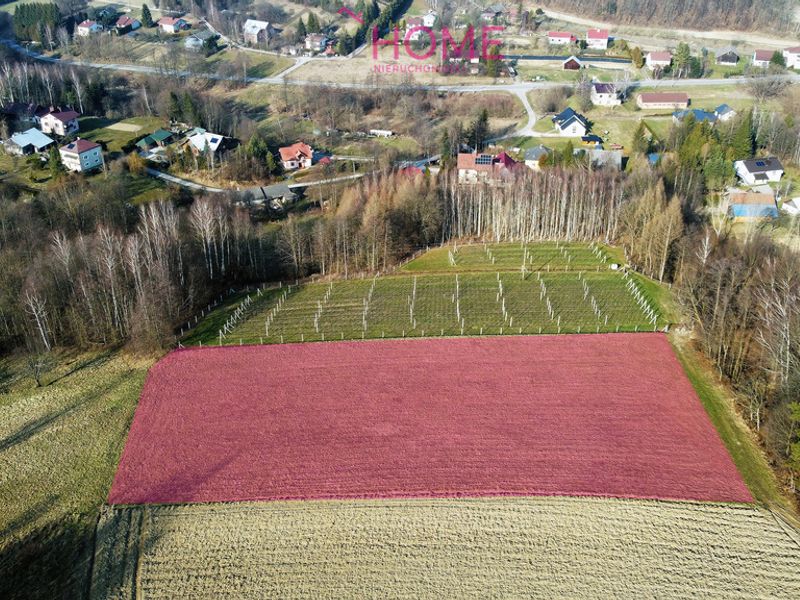 Zdjęcie ogłoszenia -  