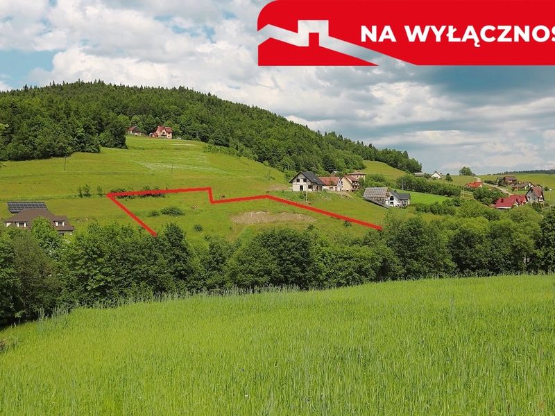 Zdjęcie ogłoszenia -  