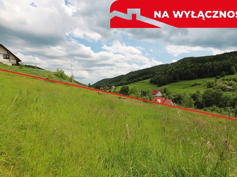 Zdjęcie ogłoszenia -  