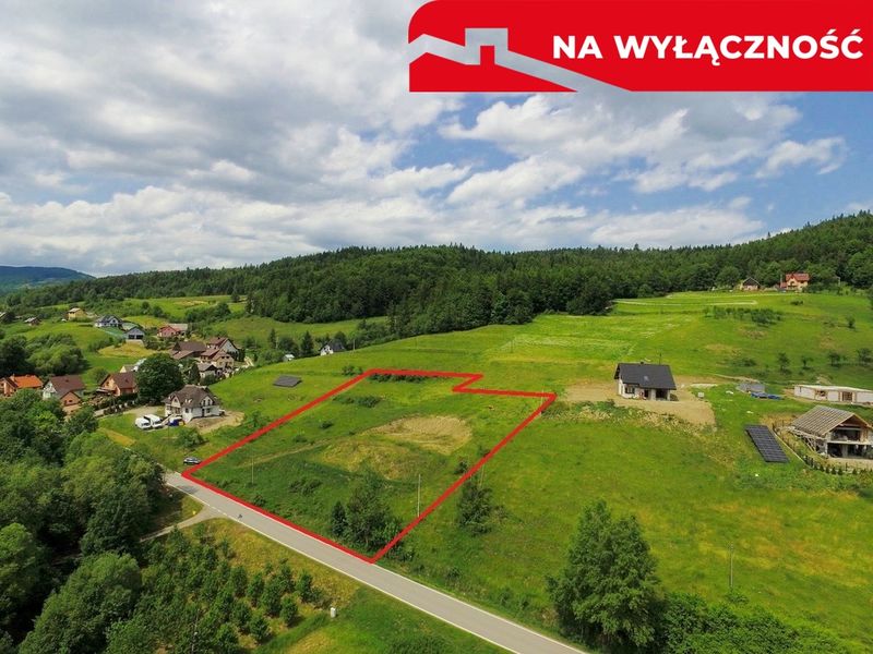 Zdjęcie ogłoszenia -  