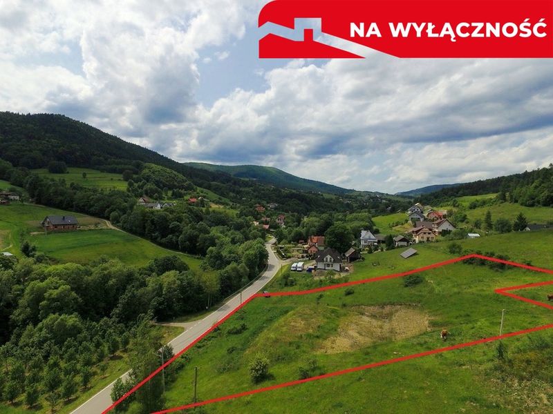 Zdjęcie ogłoszenia -  