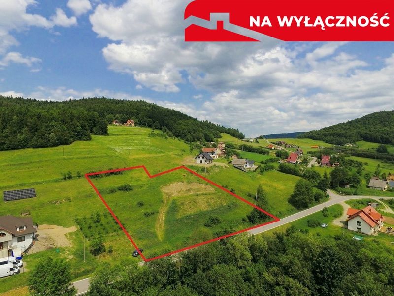 Zdjęcie ogłoszenia -  