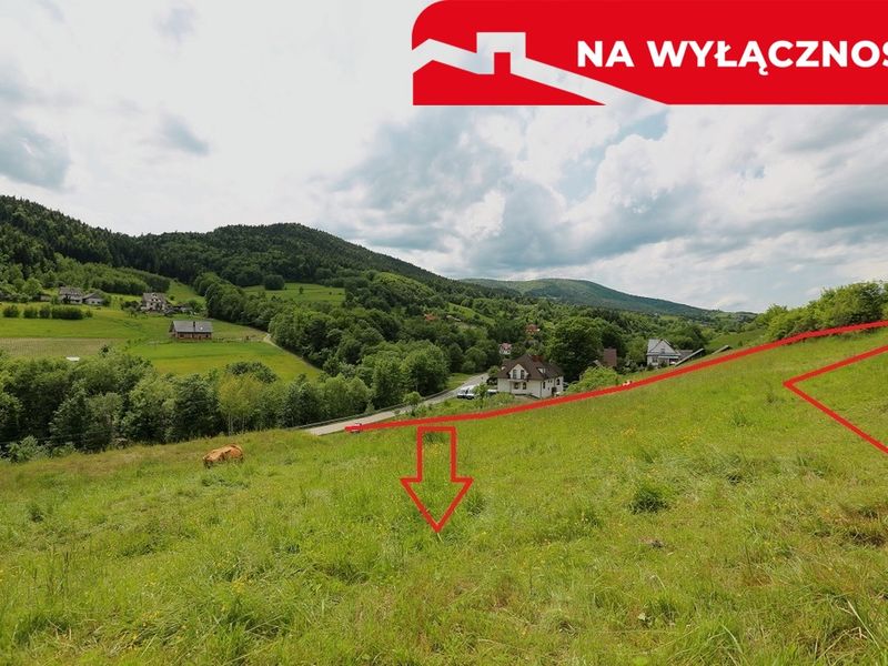 Zdjęcie ogłoszenia -  