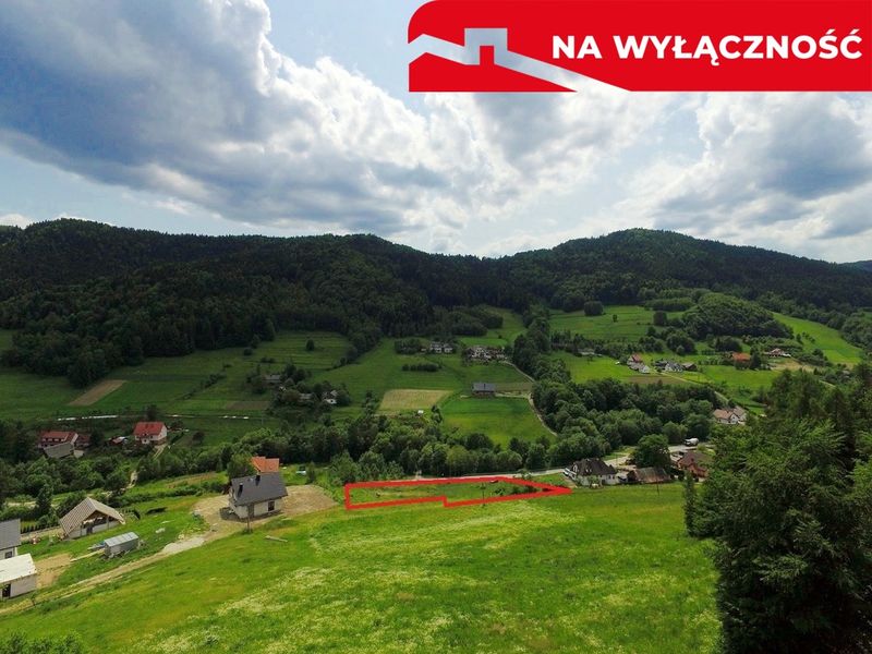Zdjęcie ogłoszenia -  