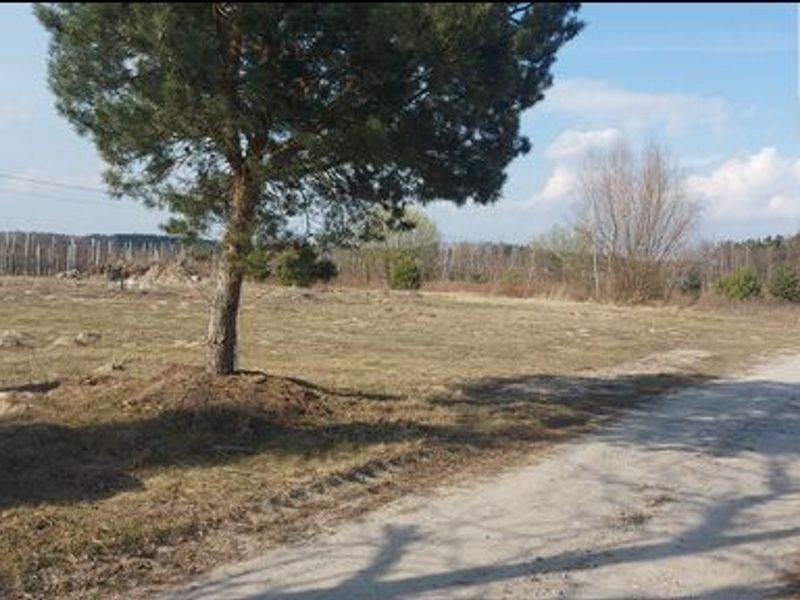 Zdjęcie ogłoszenia -  