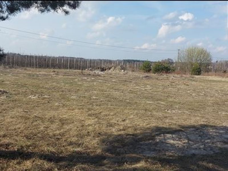 Zdjęcie ogłoszenia -  